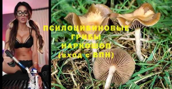 СК Белоозёрский